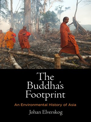 cover image of The Buddha's Footprint